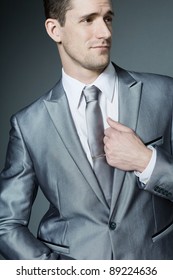 Young Handsome Businessman In Silver Suit.