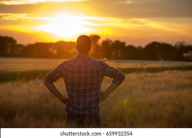 Young handsome farmer standing in wheat field with hands on hips and looking forward at sunset