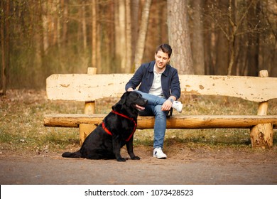 Young Handsome Man With Dog Sitting On A Wooden Bench In The Park