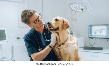 Young Handsome Veterinarian Petting a Noble Golden Retriever Dog. Healthy Pet on a Check Up Visit in Modern Veterinary Clinic with a Professional Caring Doctor