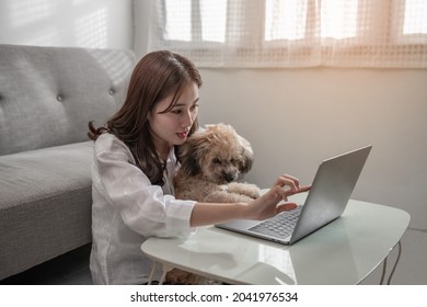 A Young Happy Asian Designer Woman Working On A Laptop At Home. Asian Mature Female Wearing A Face Mask While Pointing At A Laptop With Her Puppy Dog. A New Normal Work From Home Or WFH Concept.