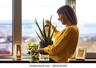 Young happy brunette woman pouring water from watering can on potted plants in her home greenhouse, her little private garden. A Young Woman Waters Her Houseplants - Powered by Shutterstock