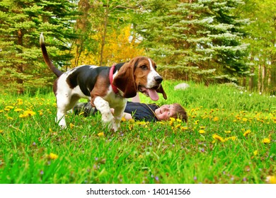 young happy caucasian boy playing with a basset hound in field of yellow dandelion flowers