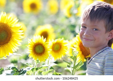 Young Happy Child Boy On Sunflower Background