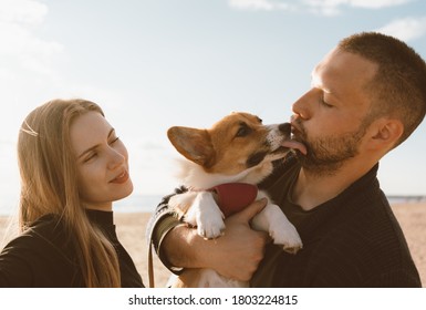 Young Happy Couple With Dog Taking Selfie Photo On Beach. Beautiful Family And Corgi Puppy Lick Man Cheek. Family With Pet Outdoor, Walking Together, Husband And Wife Relax In Summer By Sea