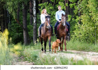 Young happy couple enjoying horse ride in a summer forest. 