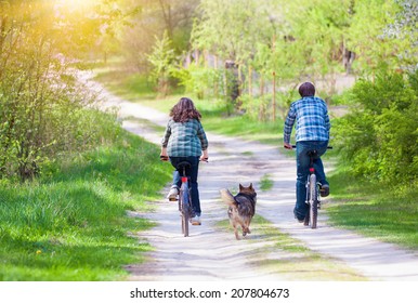 Young Happy Couple Ride Bicycles In The Village Back To Camera. Dog Running Nearby.