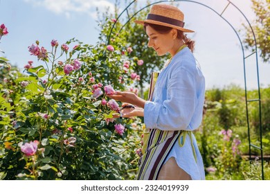 Young happy gardener enjoys blooming roses flowers in summer garden. Woman relaxing walking by Novalis rose holding pruner to cut stems - Powered by Shutterstock