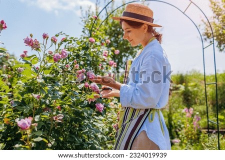 Young happy gardener enjoys blooming roses flowers in summer garden. Woman relaxing walking by Novalis rose holding pruner to cut stems