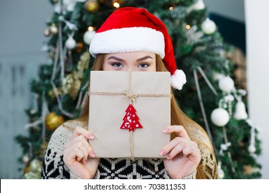 Young happy girl in red santa hat covering half face with christmas gift on xmas tree background. Funny and joyful winter holiday wallpaper ภาพถ่ายสต็อก