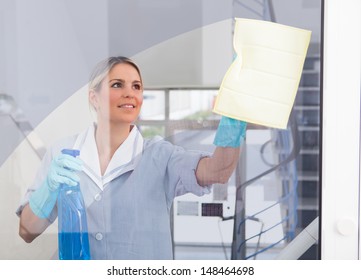 Young Happy Maid Holding Bottle And Cloth