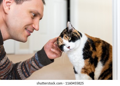 Young Happy Man Bonding With Calico Cat Rubbing, Scratching Head Behind Ears, Friends Friendship Companion Pet Affection Face, Cute Adorable Kitty