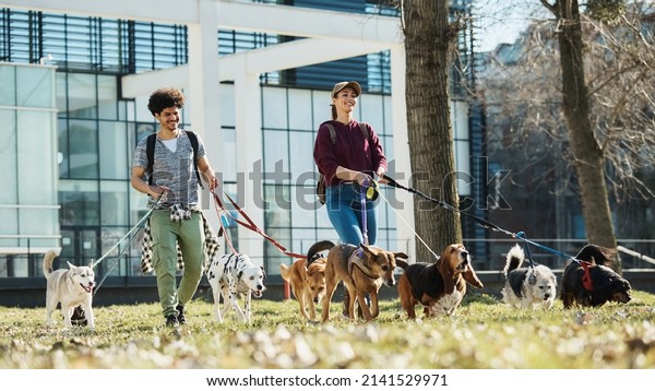 Young happy pet sitters walking large\
group of dogs on a leash in the park. Copy\
space.