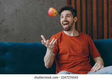 Young happy satisfied man wears red t-shirt eat toss up apple sit on blue sofa couch stay at home hotel flat rest relax spend free spare time in living room indoors grey wall. People lounge concept - Powered by Shutterstock