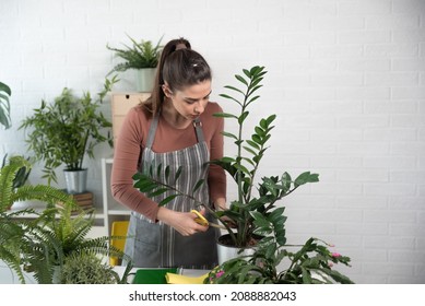 Young Happy Successful Woman Florist In Her Flowershop Surrounded With Flowers In Flowerpots Working Job She Love As Small Business Owner.