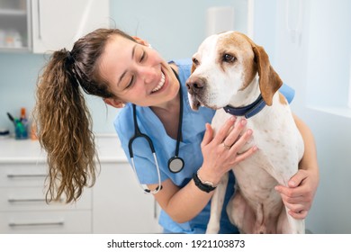 Young happy veterinary nurse smiling while playing with a dog. High quality photo - Shutterstock ID 1921103873