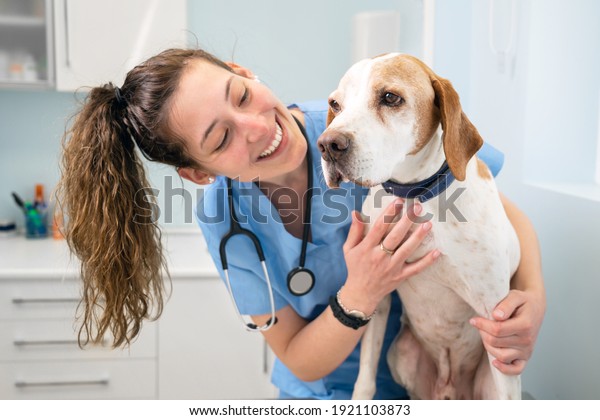 Young happy veterinary nurse smiling while\
playing with a dog. High quality\
photo