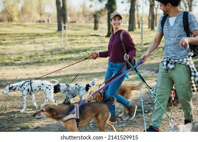 Young Happy Woman And Her Friend Walking Group Dogs In Nature While Working Part-time As Dog Sitters.