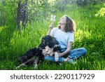 Young happy woman sitting on the grass with her dog blowing on dandelions on a summer day