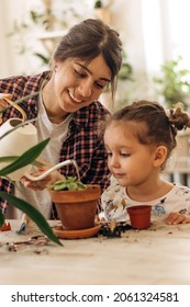 Young Happy Woman With A Three-year-old Daughter Is Planting And Watering Houseplants At Home.Home Gardening.Family Leisure, Hobby Concept.Biophilia Design And Urban Jungle Concept.Selective Focus.