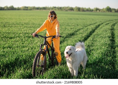 why do dogs run behind bikes