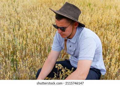 Young Harvester. Portrait Of Farmer Seating In Gold Wheat Field With Blue Sky In Background. Young Man Wearing Sunglasses And Cowboy Hat In Field Examining Wheat Crop. Oats Grain Industry. Closeup.