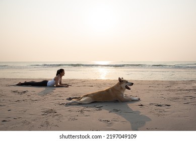 Young Healthy Woman And Dog Doing Yoga On The Beach.