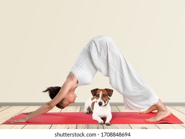 Young healthy woman practice yoga with dog