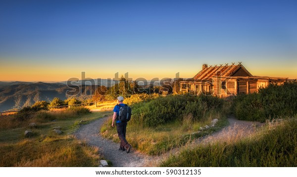 Young hiker with backpack approaching Craigs\
Hut, built as the the set for Man from Snowy River movie in the\
Victorian Alps, Australia