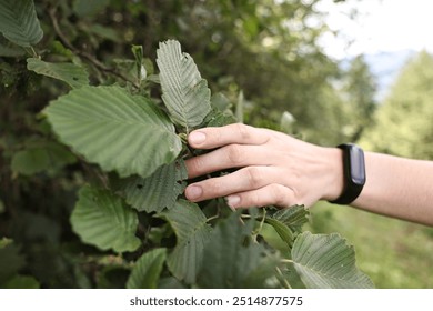 Young hiker near plant with green leaves, closeup - Powered by Shutterstock