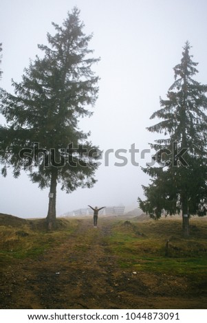 Young hiker woman with raised up arms between the forest trees.Foggy mountains