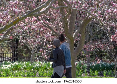 Young, Hip Asian Couple Walking In The Park In Spring Among The Flowers And Magnolia Blossoms.