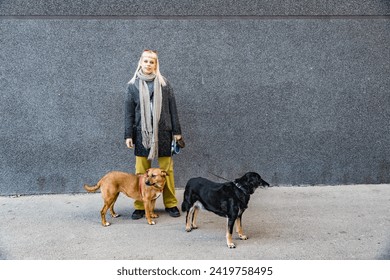 Young hippie animal lover woman having trouble holding two excited adopted dogs on a leash. Hipster cool female with her two rescued pets standing on the street.