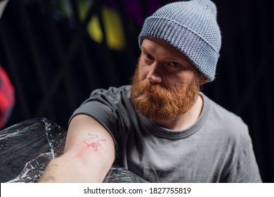 A Young Hipster In A Knitted Hat With A Beard In A Tattoo Parlor In The Process Of Getting His First Bull Tattoo.