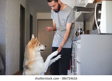 young hipster man bonding with his pet dog with tricks and treats, shake paw - Powered by Shutterstock