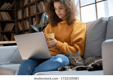 Young hispanic latin ethnic teen girl relaxing sit on comfortable sofa with cute pet cat watching remote education webinar class, movie series on laptop drinking warm tea in cozy sunny living room.