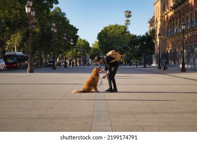 Young Hispanic Man With A Beard, Sunglasses, Black Shirt And Backpack, Crouched Down Taking The Leg Of His Dog In The City. Concept Animals, Dogs, Love, Pets, Golden.