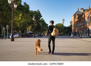 Young Hispanic Man With A Beard, Sunglasses, Black Shirt And Backpack, Walking Around The City With His Dog Seen From Behind. Concept Animals, Dogs, Love, Pets, Golden.