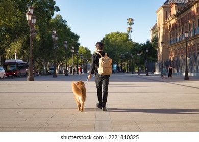 Young Hispanic Man With A Beard, Sunglasses, Black Shirt And Backpack, Walking Around The City With His Dog Seen From Behind. Concept Animals, Dogs, Love, Pets, Golden.