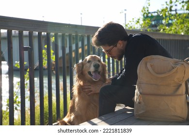 Young Hispanic Man With Beard, Sunglasses, Black Shirt And Backpack, Sitting On A Bench Petting His Dog Under The Sun Rays. Concept Animals, Dogs, Love, Pets, Golden.