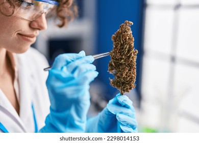 Young hispanic woman scientist holding marihuana plant using tweezers at laboratory