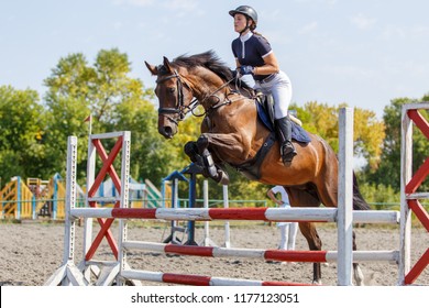 Young Horse Rider Girl Jumping Over A Hurdle On Show Jumping Competition