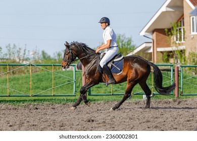 Young horseback sportsman on his course in showjumping competition. - Powered by Shutterstock