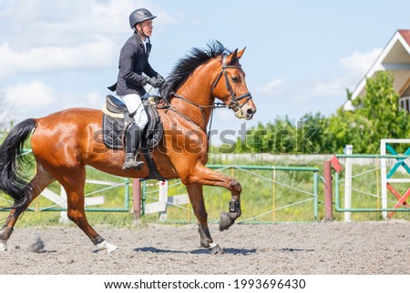 Young horserider man on his course in show jumping equestrian competition
