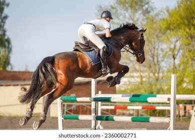 Young horseriding woman jumping over the obstacle on her showjumping course. - Powered by Shutterstock