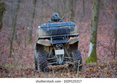 Young Hunter On A Quad Bike Searching For Game In The Forest