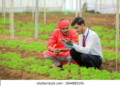 Young indian agronomist and farmer discuss at greenhouse or polyhouse