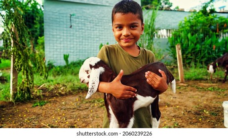 Young Indian boy holding the small goat with affection and smiling face.