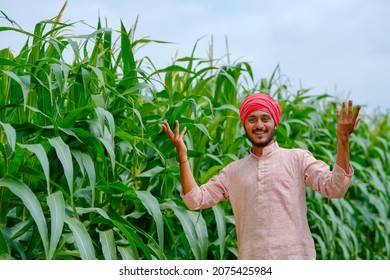 Young Indian Farmer At Corn Field.