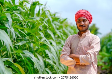 Young Indian Farmer At Corn Field.